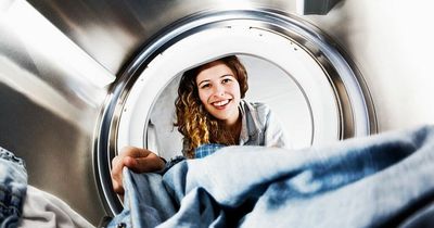 Electricity expert says simple tumble dryer hack 'can save 20%' on energy costs