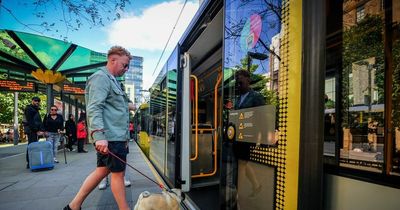 Dogs will be allowed on Metrolink trams until the New Year