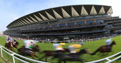 Newsboy's TV racing tips for Champions Day at Ascot on Saturday October 15