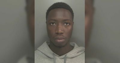 Teen stabbed men after they hurled racial abuse and chased him through city centre