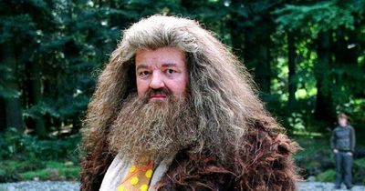 Harry Potter actor Robbie Coltrane's career from Cracker to Hagrid and James Bond cameos