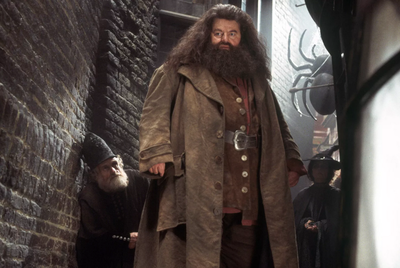 ‘I’ll not be here, sadly. But Hagrid will’: Robbie Coltrane reflected on Harry Potter legacy shortly before death
