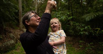 'Twitchers' urged to turn their eyes to the skies as Aussie Bird Count takes flight