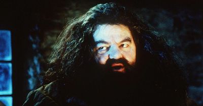 Robbie Coltrane says 'I'll not be here, but Hagrid will' in moving interview before death