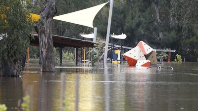 Evacuation orders issued for parts of Narrandera South as moderate flooding threatens to close roads
