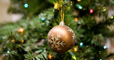 Almondsbury Garden Centre's much-loved Christmas shop is already open