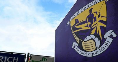 Wexford GAA hand out maximum suspension following assault on referee