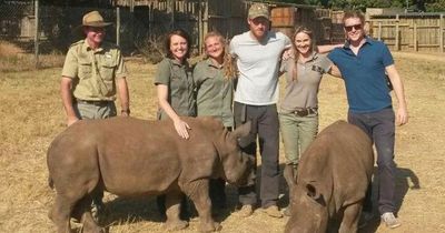 Prince Harry's near-death experience after being dragged 20m by drugged-up rhino