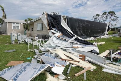 How One Animal Rescue Group Is Providing Care For Thousands Of Dogs Displaced By Hurricane Ian