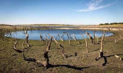 Drought threatens England’s fruit and vegetable crop next year, says report