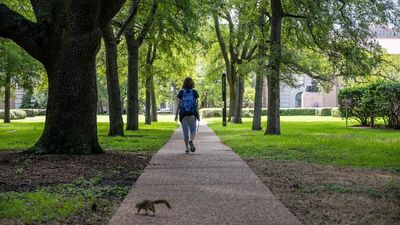Student loan forgiveness beta website is live