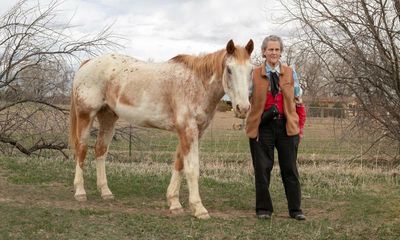 Autistic scholar Temple Grandin: ‘The education system is screening out visual thinkers’