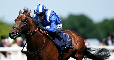 Baaeed beaten for first time on final career start as Bay Bridge causes upset in Champion Stakes