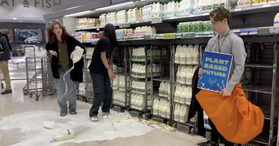 Edinburgh activists cover Waitrose aisle in milk as shoppers watch on