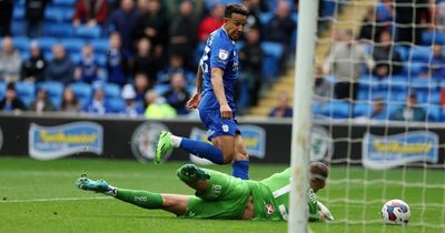 'It's bad for the game!' Cardiff City boss Mark Hudson fumes as rule change rules out Callum Robinson goal