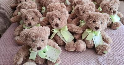 Comfort bears providing relief to grieving parents after the heartbreaking loss of a baby