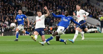 Rate the Everton players after defeat at Tottenham Hotspur