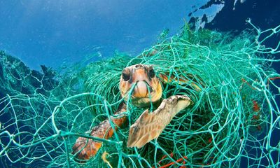 New study reveals ‘staggering’ scale of lost fishing gear drifting in Earth’s oceans