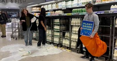 Vegan protesters trash shops with milk across the UK including Harrods and M&S stores