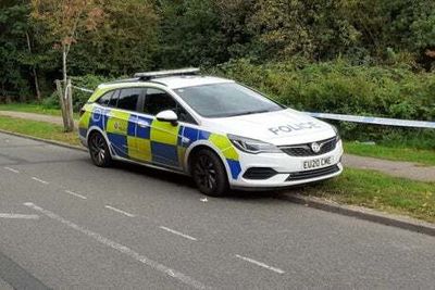 Police launch probe after man’s body found in woods next to M11 motorway in Essex