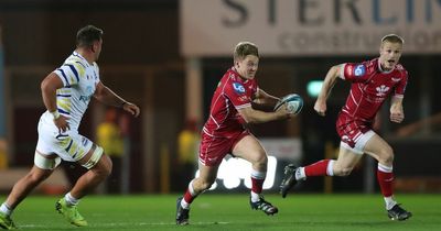 Scarlets 36-12 Zebre: Dwayne Peel's side claim first win of the season on comfortable night in Llanelli