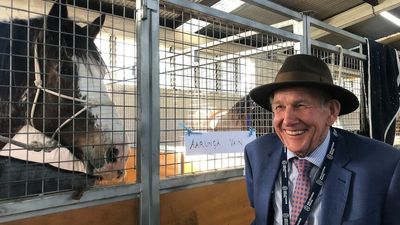 Marriott family's draught horse dynasty keeps Clydesdale tradition alive