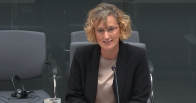 Favoured Welsh Language Commissioner candidate vows to increase the use of the language