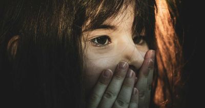 National plan to end Australia's domestic violence 'crisis'