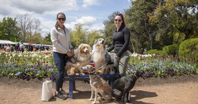 Floriade's end marked with a 'paw-ty'