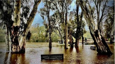 Sydney news: Fears for NSW's Moama Indigenous community as Victoria flood threat intensifies
