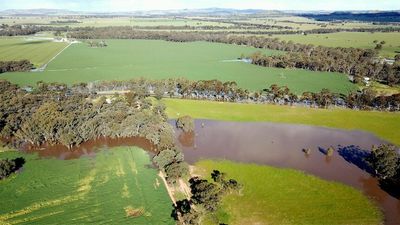 Victoria floods: Crops submerged, dairy sheds without power as flood waters creep across state's north