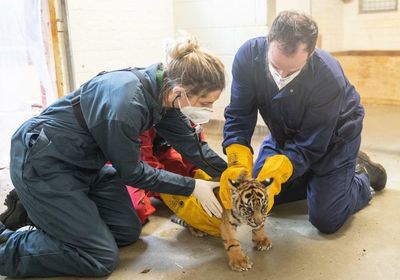 Conflict between activists and zoos shows no sign of going away