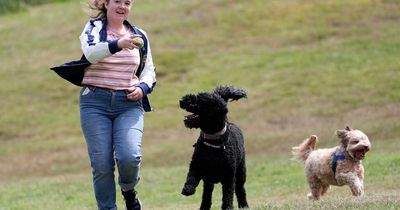 Rain pain set to return after several days of sunny skies