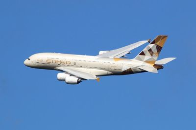 Etihad Airways raises pet fee to $1,500 per journey ‒ but falcons go free