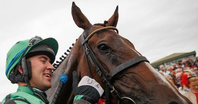 Hewick: Story behind €850 horse that has now won over €450,000 in prize money after American Grand National win