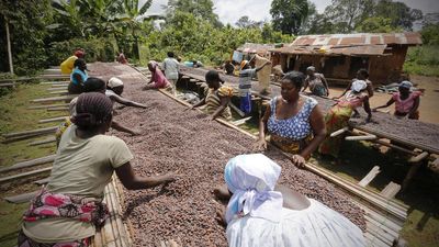 West Africa hopes to strengthen cocoa prices with new members Cameroon, Nigeria