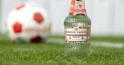 Limited edition World Cup Welsh gin from Hensol Castle Distillery