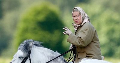 King Charles to sell 12 of Queen's racehorses including famous winners