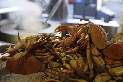 Billions of snow crabs have disappeared from Alaska waters