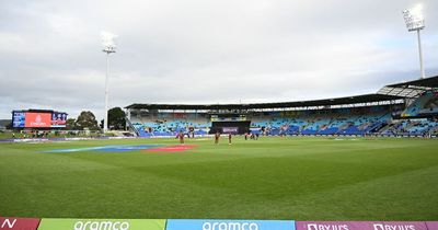 Young child suffers horrific head-first fall during T20 World Cup clash