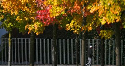 Halloween ‘Indian Summer’ hopes as Met Eireann long-range forecast signals Ireland weather surprise