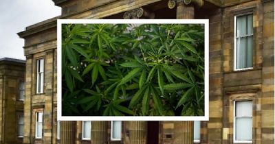 Lanarkshire woman told police she was 'forced to grow cannabis'