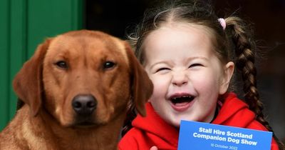 Phenomenal pooches competed at Loch Lomond Shores on Saturday to be the Top Dog