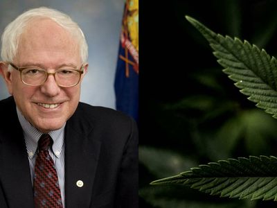 Bernie Sanders Dismayed At Teen Cannabis Interest As Nevada Accepts Marijuana Lounges And More Regulatory Updates