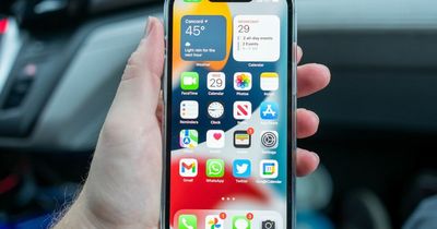 Android and iPhone users warned to delete 'malicious' apps that can steal login details