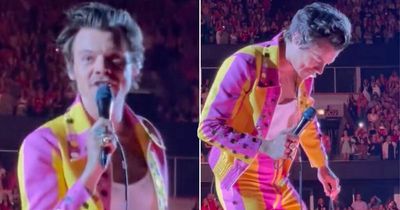 Harry Styles forced to stop live performance as fan throws bottle at his groin