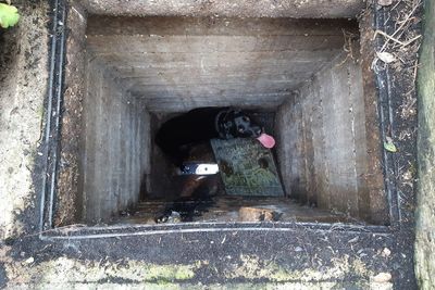 ‘Unsavoury’ rescue for black labrador who fell into three-metre-deep sewer