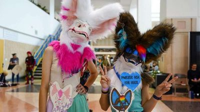 A North Carolina School District Wants To Ban 'Furry' Costumes