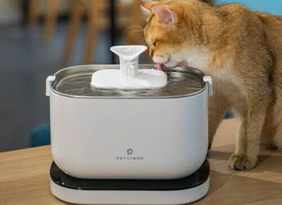 PetLibro's new cat water fountain with no cables is a total game-changer