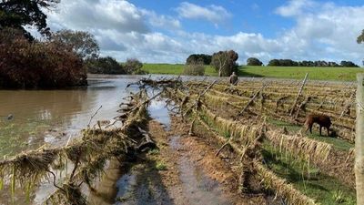 Vintages destroyed by floods at boutique vineyard after Mount Emu Creek deluge